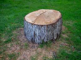 Best Lot and Land Clearing  in Stepping Stone, CO